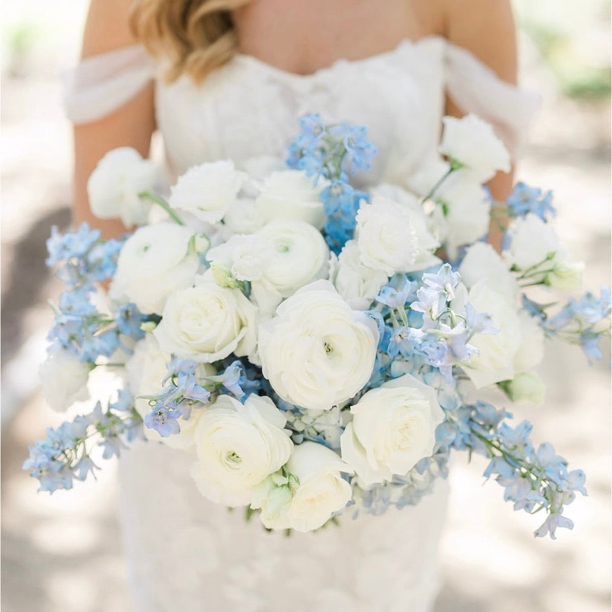 White & Blue | No Greenery