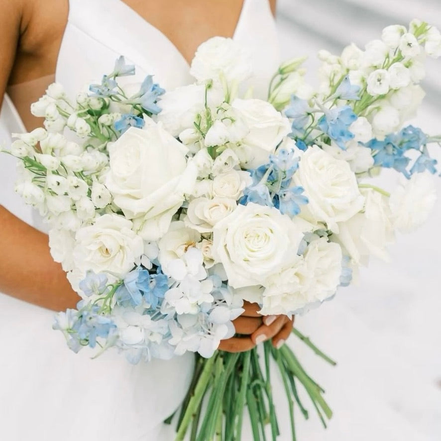 White & Blue | No Greenery