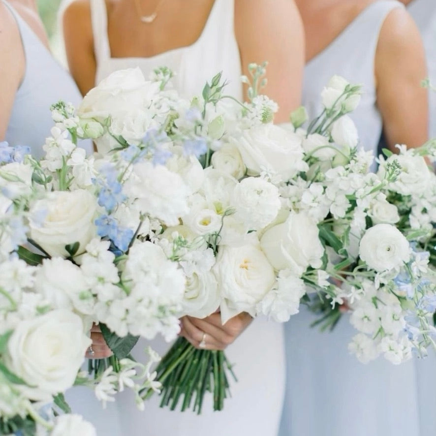 White & Blue | No Greenery