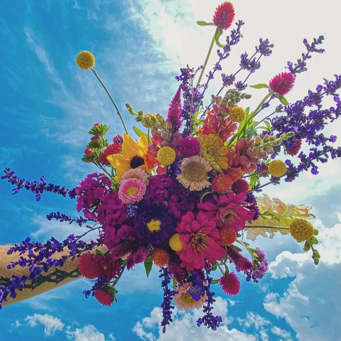 Colorful bouquet of flowers against a blue sky with clouds for flower delivery in Hialeah Miami