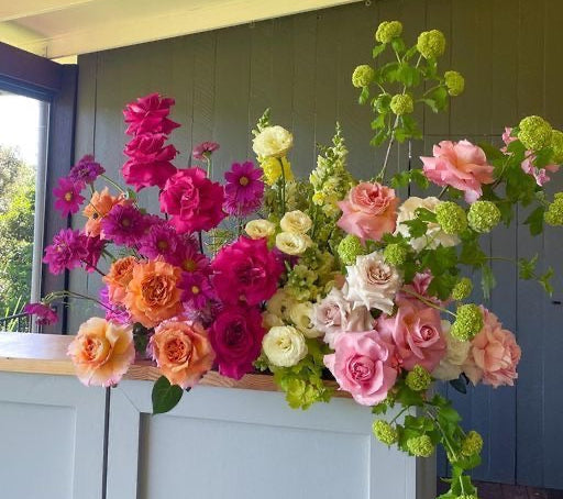 Bright Tropicals: Pink, Orange, Green, Lavender