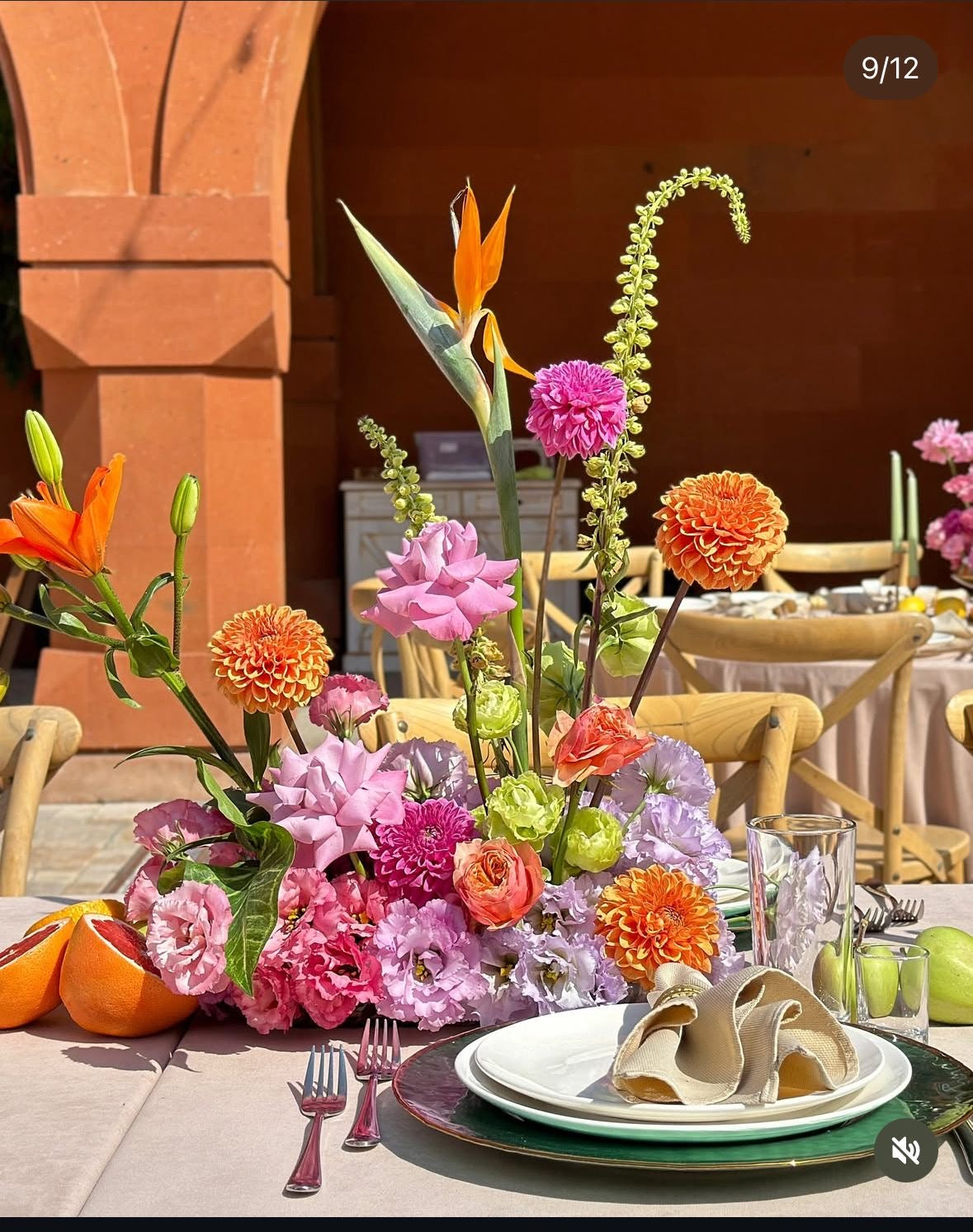 Bright Tropicals: Pink, Orange, Green, Lavender