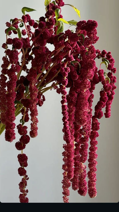 Modern Burgundy and Pink Wedding Flowers