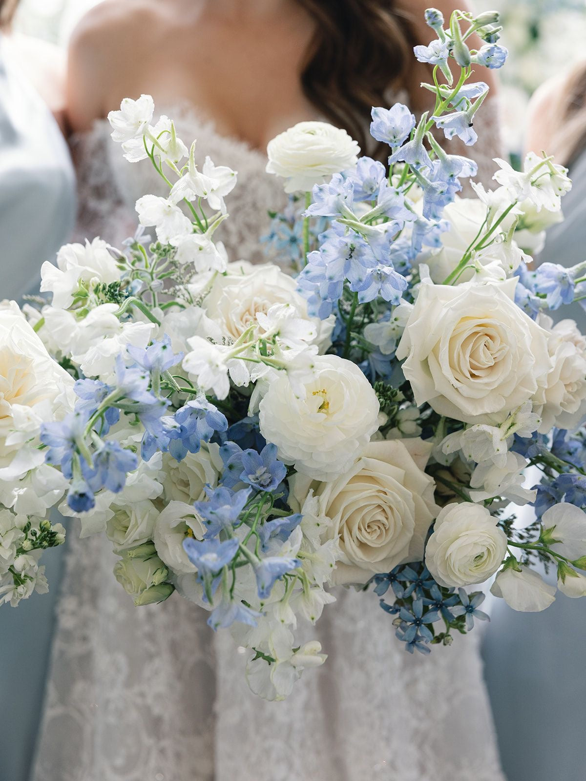 White & Blue | No Greenery