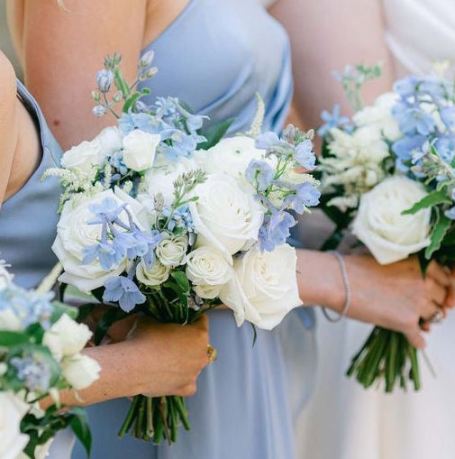White & Blue | No Greenery
