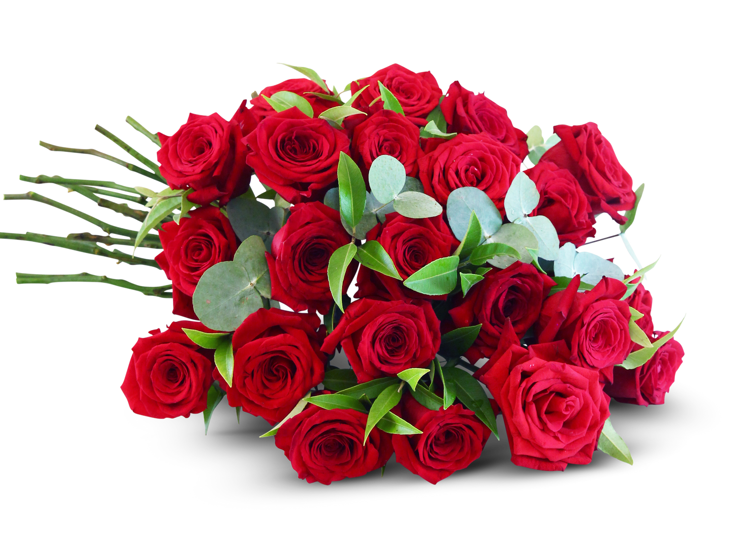 Bouquet of red roses with green leaves on a white background from Miami florist