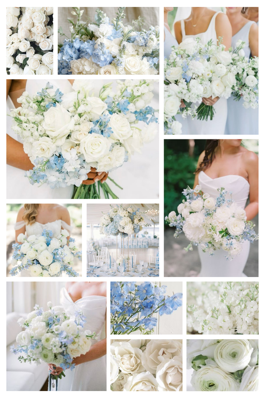 White & Blue | No Greenery