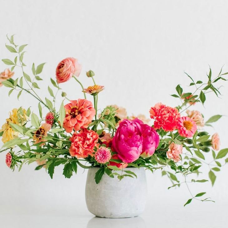 Designer’s Choice- Bright & Colorful